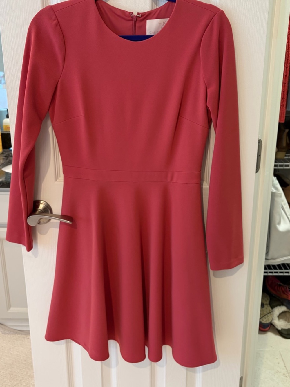 Gal Meets Glam Long-Sleeve Fit & Flare Dress in Rose Pink